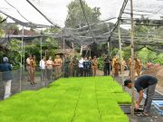 Dirjen Tanaman Pangan Minitoring Percepatan LTT di Jetis & Sukorejo