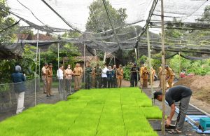 Dirjen Tanaman Pangan Minitoring Percepatan LTT di Jetis & Sukorejo