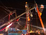 PLN Sigap Gerak Cepat Tangani Tiang Roboh Akibat Pohon Tumbang saat Cuaca Ekstrem di Trenggalek