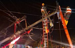 PLN Sigap Gerak Cepat Tangani Tiang Roboh Akibat Pohon Tumbang saat Cuaca Ekstrem di Trenggalek