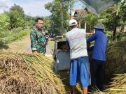 Prajurit TNI Yakinkan Petani Ponorogo Jual Gabah ke Bulog