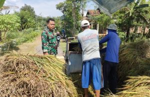 Prajurit TNI Yakinkan Petani Ponorogo Jual Gabah ke Bulog