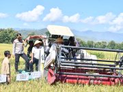 Panen Raya Padi Serentak di Ponorogo 14 Provinsi Bersama Presiden RI