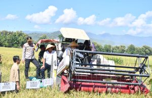 Panen Raya Padi Serentak di Ponorogo 14 Provinsi Bersama Presiden RI