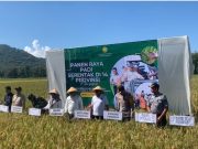 Dukung Ketahanan Pangan Nasional, PLN UP3 Ponorogo Ikut Sukseskan Panen Raya Serentak