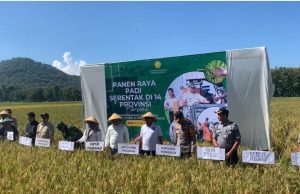 Dukung Ketahanan Pangan Nasional, PLN UP3 Ponorogo Ikut Sukseskan Panen Raya Serentak