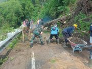 Jalan Lingkar Wisata Ngebel Tertutup Longsor, Tim Gabungan Evakuasi Pohon Tumbang
