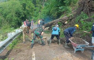 Jalan Lingkar Wisata Ngebel Tertutup Longsor, Tim Gabungan Evakuasi Pohon Tumbang