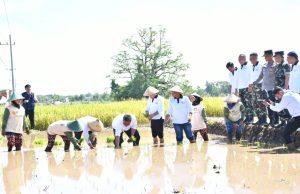 Wagub Emil & Bupati Ponorogo Gerakan Menanam & Panen Padi Serentak di Babadan