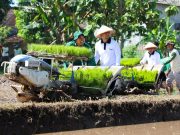 PLN Dukung Tanam Padi Serentak Bersama Wagub Jatim di Ponorogo, Dorong Peningkatan Produksi Pertanian Lewat Program Electrifying Agriculture