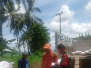 TNI Ponorogo Kawal Petani: Penyiapan Lahan, Tabur Benih, Tanam Hingga Panen