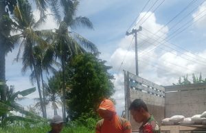 TNI Ponorogo Kawal Petani: Penyiapan Lahan, Tabur Benih, Tanam Hingga Panen