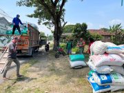 Jaga Stabilitas Harga, Prajurit TNI Rutin Dampingi Serap Gabah Petani