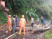 Pohon Tumbang Tutup Jalan Akses Telaga Ngebel, TNI – Polri di Ponorogo Sigap Atasi