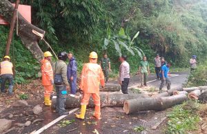 Pohon Tumbang Tutup Jalan Akses Telaga Ngebel, TNI – Polri di Ponorogo Sigap Atasi