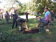 Perkuat Pilot Project Han Pangan, Dandim Ponorogo Pimpin Tanam Bibit Pisang Cavendish