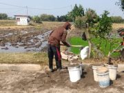 Babinsa Kodim Ponorogo Bantu Warga Buat Saluran Irigasi