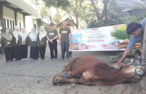 Gema Takbir di SMAN 2 Ponorogo: Tiga Sapi Kurban, Simbol Syukur & Peduli Sesama