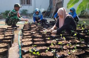 KWT Jabung Ponorogo Jalankan Program Pekarangan Pangan Lestari