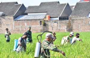 Pemkab Ponorogo Gelontor 340 Liter Pestisida Bantu Petani Lawan Wereng