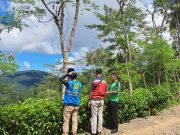 Demi Pasokan Listrik yang Andal untuk Pelanggan, PLN UP3 Ponorogo Sigap Perbaiki Tegangan Drop di Pagerwatu