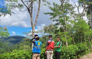 Demi Pasokan Listrik yang Andal untuk Pelanggan, PLN UP3 Ponorogo Sigap Perbaiki Tegangan Drop di Pagerwatu