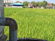 Semangat Kemerdekaan ke-80, PLN UP3 Ponorogo Sambung 41 Pelanggan Pompanisasi di Sawuh, Siman Ponorogo