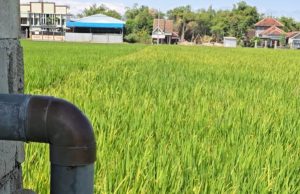 Semangat Kemerdekaan ke-80, PLN UP3 Ponorogo Sambung 41 Pelanggan Pompanisasi di Sawuh, Siman Ponorogo