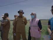 Hari Pelanggan Nasional, PLN UP3 Ponorogo Bersama Srikandi PLN Luncurkan Produk SINAR, Dukung Irigasi Lancar dan Petani Sejahtera