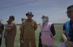 Hari Pelanggan Nasional, PLN UP3 Ponorogo Bersama Srikandi PLN Luncurkan Produk SINAR, Dukung Irigasi Lancar dan Petani Sejahtera