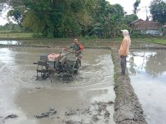 Prajurit TNI Ponorogo Terjun ke Sawah Bantu Petani Traktor Lahan