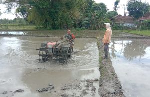 Prajurit TNI Ponorogo Terjun ke Sawah Bantu Petani Traktor Lahan
