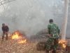 Reaksi Cepat Babinsa Kodim Ponorogo Bantu Padamkan Kebakaran Hutan