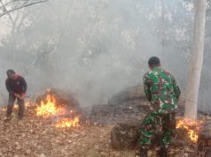 Reaksi Cepat Babinsa Kodim Ponorogo Bantu Padamkan Kebakaran Hutan