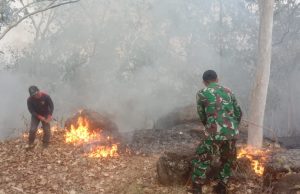 Reaksi Cepat Babinsa Kodim Ponorogo Bantu Padamkan Kebakaran Hutan