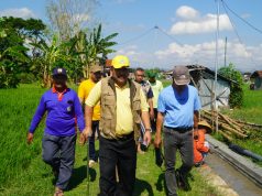 Anggota DPR RI H. Ali Mufthi Tinjau Program P3-TGAI di Mangkujayan, Ronowijayan: Air Lancar, Petani Semakin Sejahtera