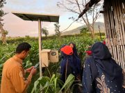 Didukung KEMDIKTISAINTEK, Kolaborasi PENS–PNM Kembangkan Pertanian Cerdas bagi Gapoktan Subur Jaya Sambit