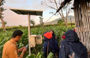 Didukung KEMDIKTISAINTEK, Kolaborasi PENS–PNM Kembangkan Pertanian Cerdas bagi Gapoktan Subur Jaya Sambit