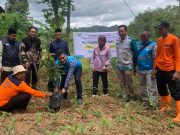 Tanam Pohon, Tebar Kepedulian: PLN UP3 Ponorogo Dukung Warga Tugurejo Hadapi Risiko Bencana Jelang Hari Pahlawan