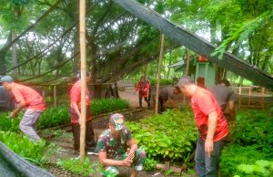 Galakkan Penghijauan, Kodim Ponorogo dan Dishut CDK Pacitan Tingkatkan Kerjasama Pembuatan Bibit