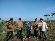 Tingkat Kehidupan Nandur Panguripan Capai 52 Persen: Satgas Hijau Ponorogo Minta OPD Lebih Aktif