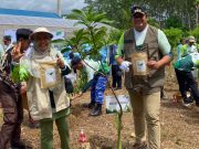 PLN untuk Rakyat Dukung Aksi Penanaman Pohon pada Hari Menanam Pohon Indonesia di Pacitan