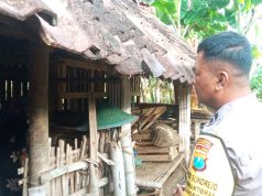 Depresi Suami Meninggal, Lansia di Ponorogo Nekat Akhiri Hidup di Kandang Kambing