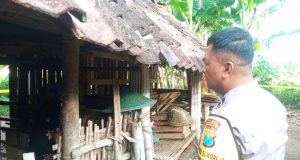 Depresi Suami Meninggal, Lansia di Ponorogo Nekat Akhiri Hidup di Kandang Kambing