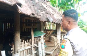 Depresi Suami Meninggal, Lansia di Ponorogo Nekat Akhiri Hidup di Kandang Kambing