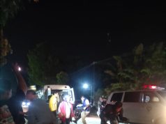 Adu Banteng Ertiga vs Revo: Satu Pemotor Tewas di Ngampel Ponorogo