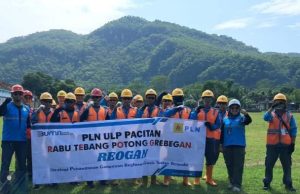 Antisipasi Gangguan Listrik, PLN ULP Pacitan Intensifkan Perabasan Pohon