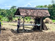 Usai Mencangkul, Lansia di Balong Ponorogo Meninggal dii Gubuk Sawah