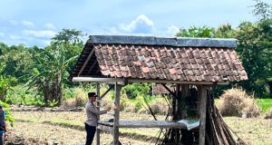 Usai Mencangkul, Lansia di Balong Ponorogo Meninggal dii Gubuk Sawah