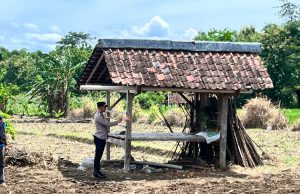 Usai Mencangkul, Lansia di Balong Ponorogo Meninggal dii Gubuk Sawah